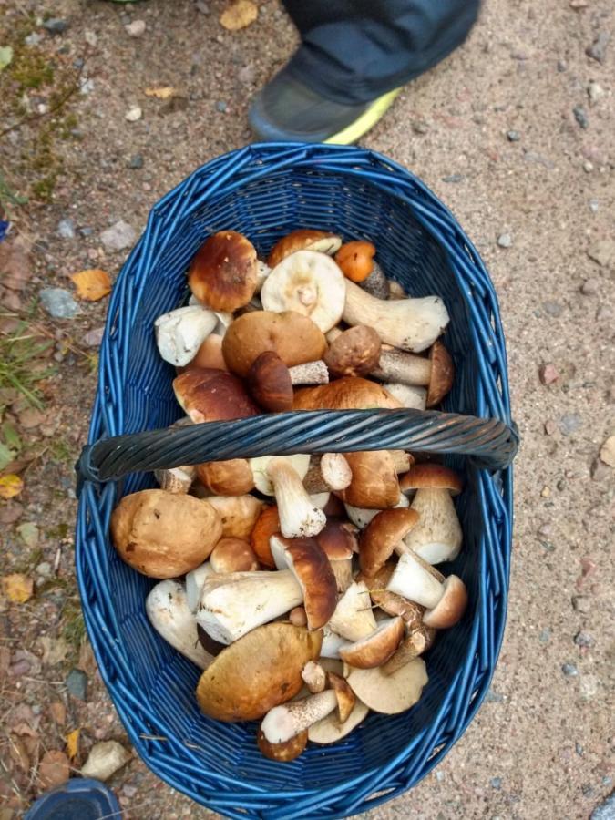 Domek U Janiny Czaplinek Eksteriør bilde